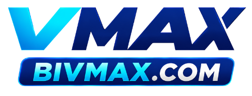 bivmax.com