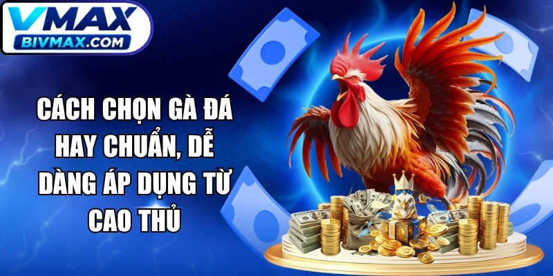 Cách Chọn Gà Đá Hay
