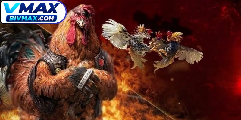 AOG là một đối tác phát hành chọi kê nhận được sự tín nhiệm lớn