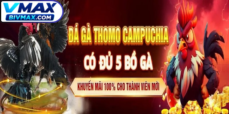 Khuyến mãi đá gà mang đến cơ hội nhận thưởng cực khủng với kê thủ