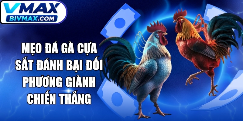 Mẹo Đá Gà Cựa Sắt