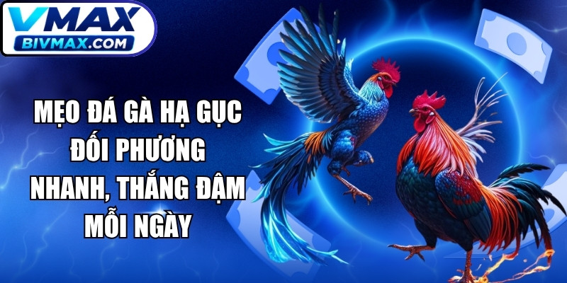 Mẹo Đá Gà