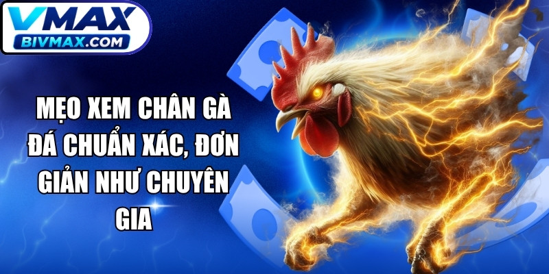Mẹo Xem Chân Gà Đá