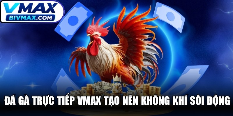 Đá gà trực tiếp VMAX tạo nên không khí sôi động, đầy hào hứng